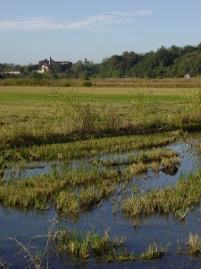 Perdite a Cavagliano