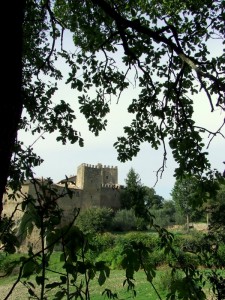 a rocchette tra gli alberi