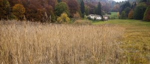 Biotopo Prà dell’Albi-Cei