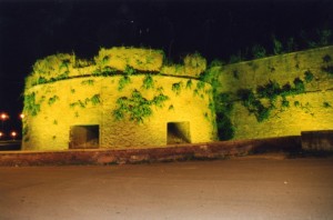 Torretta del castello in notturna