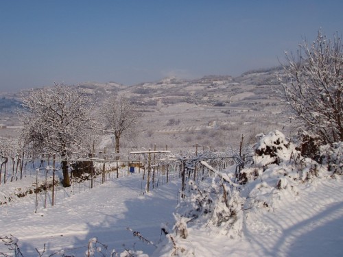 Soave - Paesaggio soavese dopo la nevicata
