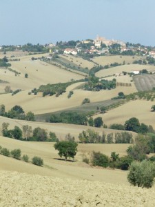 Campagna di Belvedere Ostrense