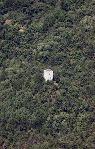 Una torre in mezzo al bosco