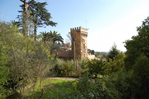 Velletri - Una torre nel verde
