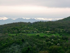 PAESAGGIO AI PIEDI DI ROCCA MASSIMA