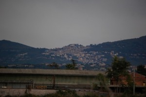 dove vado a cogliere le castagne