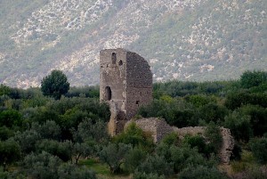 Una torre abbandonata tra gli ulivi