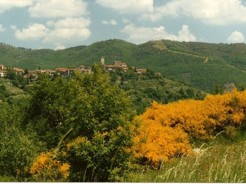 Montemignaio - Panorama primaverile di "Solatio"
