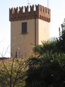 Una torre di Erba
