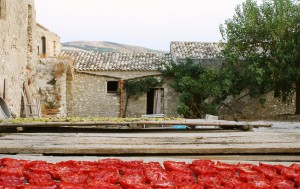 ” pomodori rossi secchi ” Castello di Baida