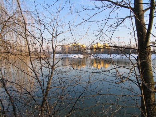 Pioltello - Lago Malaspina con la neve Pioltello - Lago Malaspina con la neve