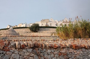 Locorotondo tra le canne ed un trullo