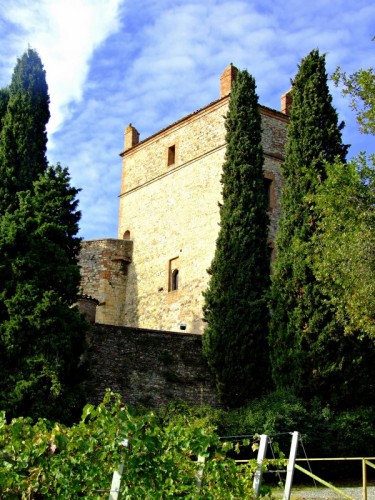 Castello di Serravalle - Vista laterale del Castello di Serravalle