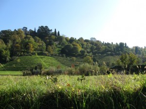 Bergamo e le sue colline