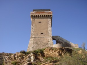 La Torre di Calafuria