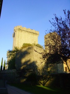 La Rocca vista dai giardini