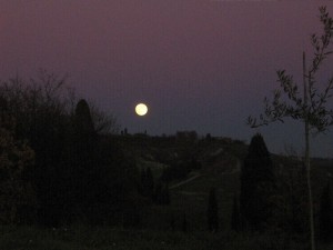 Luna Piena al Parco di Canonica