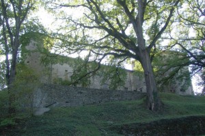 Il Castello di Monti