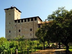 Rocca Borromeo di Angera 4