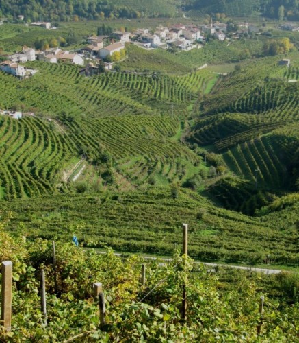 Valdobbiadene - da non saper che dire Valdobbiadene - da non saper che dire