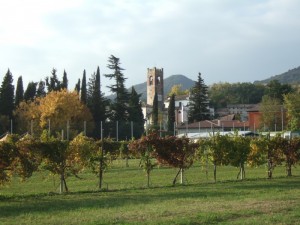 coste di maser d’autunno