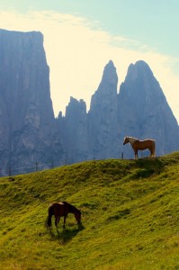 Lo Sciliar dall’Alpe