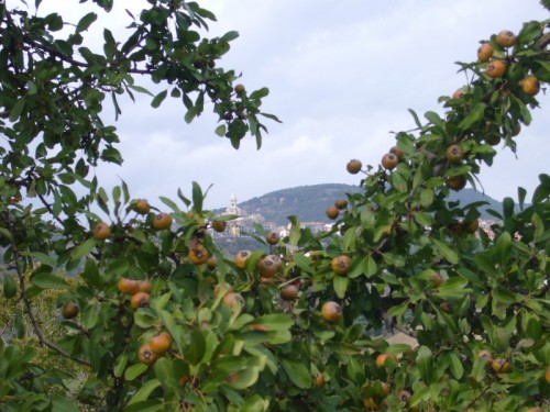 Guardialfiera - Giocare a noscondino Guardialfiera - Giocare a noscondino