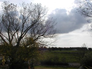 Temporale in arrivo in contrada Foggevo