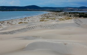 Porto Pino il paesaggio delle dune