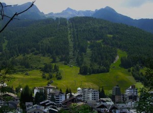 Summer in New Aprica