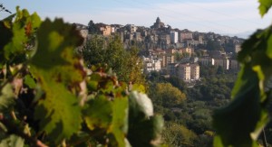 Orte d’autunno