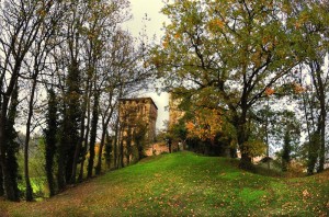 Castello di Sarzano 2