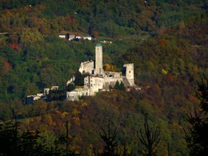 …all’improvviso tra gli alberi una fortezza