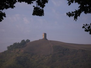 La torre Cotogna