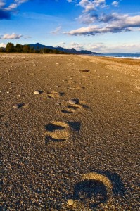Passegiando per la spaggia di Marina di Cottone