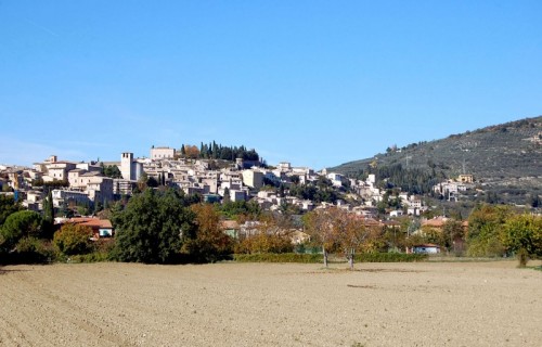 Spello - Hispellum, terra dell'olio