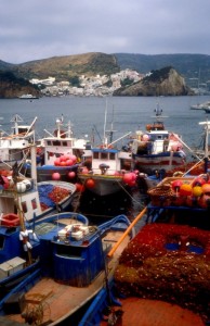 Ponza con il suo porto