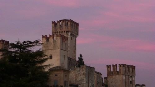 Sirmione - MERLI ROSATI... Sirmione - MERLI ROSATI...