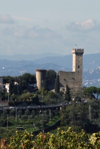 Il castello dei Vescovi dal lato monte