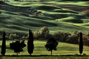 Campagna a Monticchiello