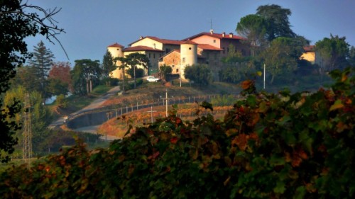 Cividale del Friuli - Andando per castagne Cividale del Friuli - Andando per castagne