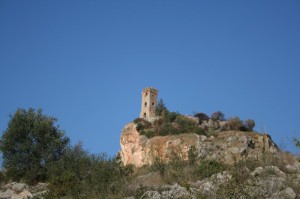 La Torre di Caprona 1