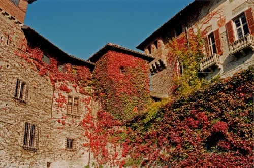 Tagliolo Monferrato - tagliolo2 Tagliolo Monferrato - tagliolo2