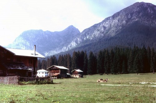 San Pietro di Cadore - La Val Visdende San Pietro di Cadore - La Val Visdende