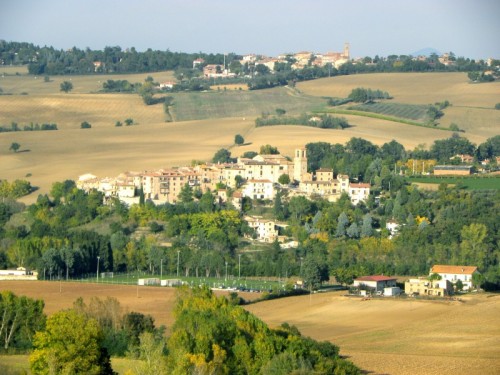 Marsciano - Morcella Marsciano - Morcella