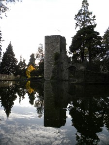 Resti del Castello medievale