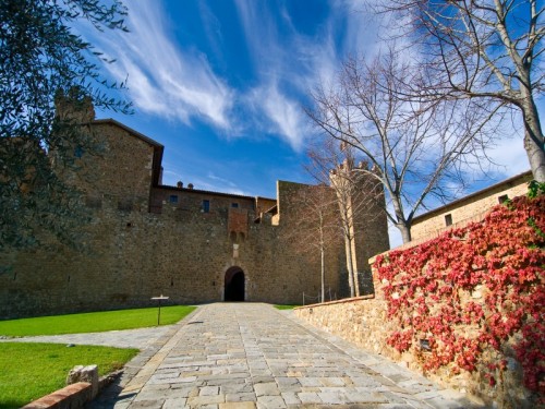 Montalcino - il castello Banfi - n.2