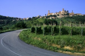 curve e vigneti a cisterna d’asti