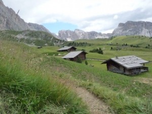 panorama dal Col Raiser