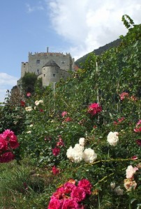 sempre più bello….il mio castello!